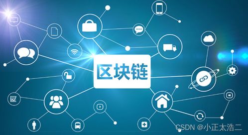 区块链技术在软件开发中的应用与前瞻