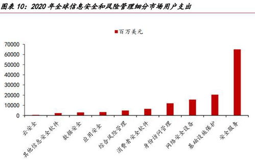 网络安全的未来看服务 网络与信息安全软件开发的演进之路